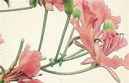 2026年06月17日出行黄历查询