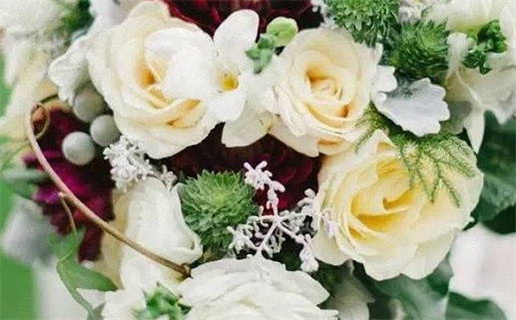 八字算命婚姻分析与属相配对指南