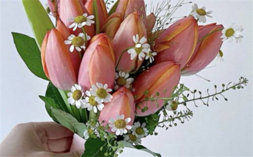 缺木八字算命如何调和提升运势技巧分享