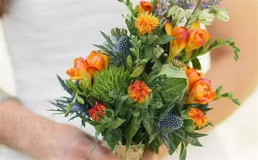 婚姻树免费算命婚姻(婚姻树算命婚姻免费八字算命)