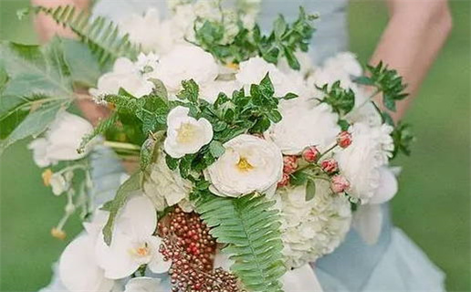 属马与属鼠的最佳合作伙伴关系解析