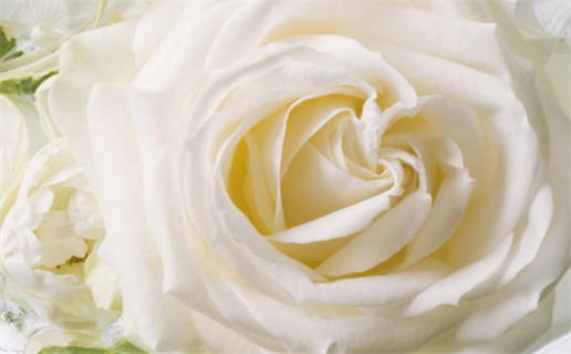 婚姻算命大神揭秘幸福婚姻的秘钥