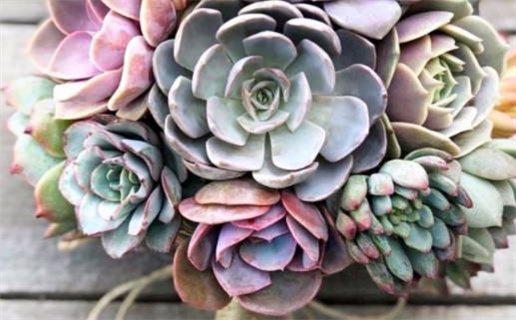 姓名生辰八字算命可信吗