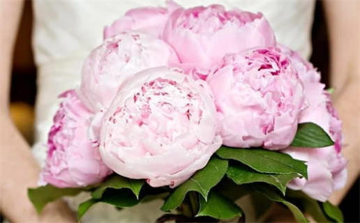 算命说我生婚姻什么意思_算命先生说婚姻