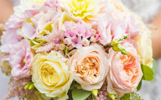 黄道吉日哪些属木(黄道吉日哪些属木最好)