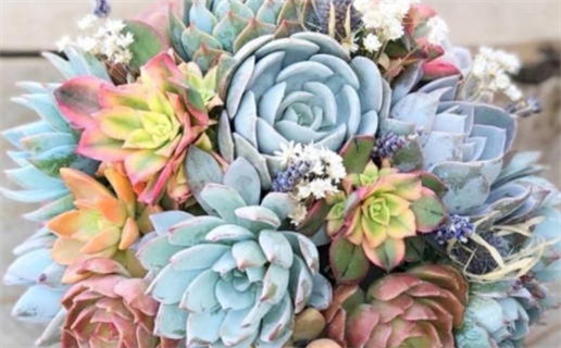 有鱼尾纹的男人面相特征与人生运势解析(有鱼尾纹的男人面相特征与人生运势解析)