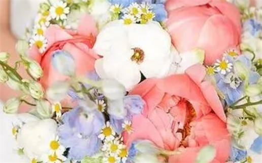 甲木生于戌月的命理解析与性格特征分析