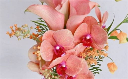 近期的黄道吉日查询_近期搬家的黄道吉日查询