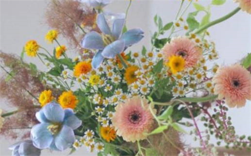 最近结婚黄道吉日查询_最近结婚黄道吉日查询大全