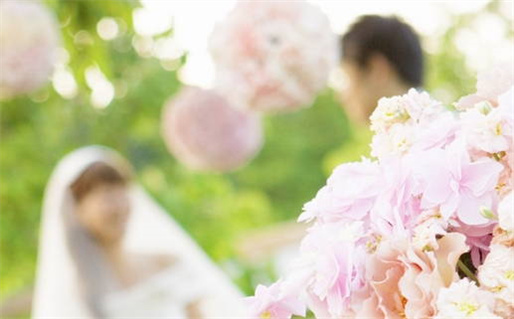 婚姻树免费算命算命婚姻(婚姻树算命婚姻免费八字算命)