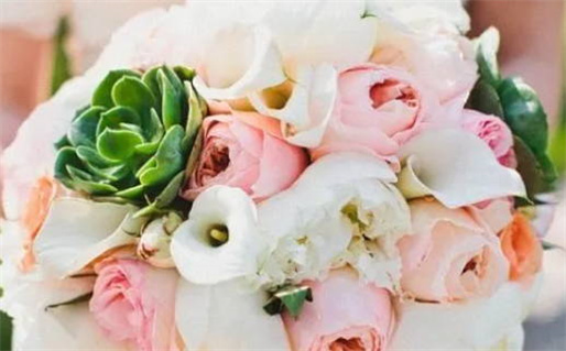 生辰八字算命神器精准解读命运与运势