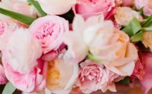 姓名八字算命免费