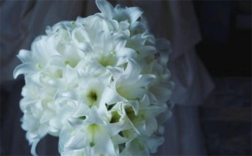 黄道吉日都分哪些_黄道吉日都分哪些属相