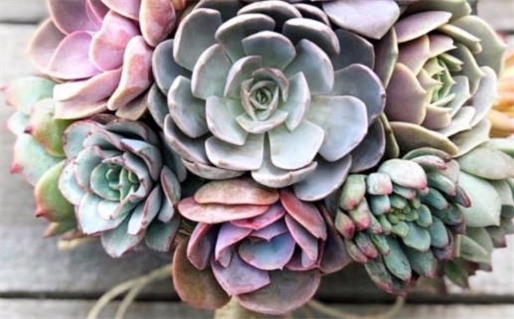 叶梦熊朝帝_叶梦熊朝帝解签