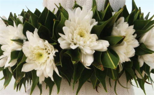 婚姻破败的预兆及应对策略解析