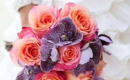 瓷都婚姻算命(瓷都婚姻算命免费算命)