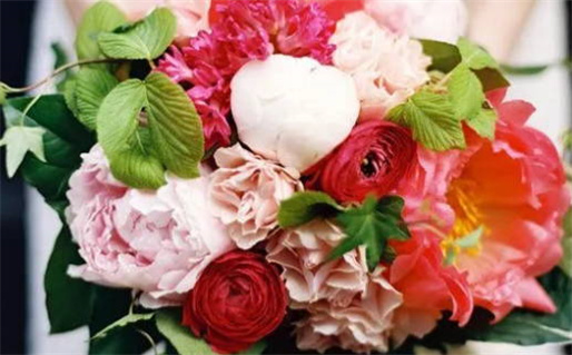 给生肖鼠家庭生龙宝宝的好处与建议