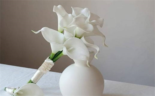 阿若憍陈如尊者(阿若憍陈如尊者解签)