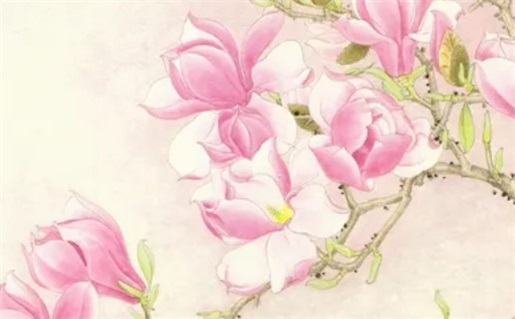 2029年02月02日不适合兴工吗,动土吉日查询