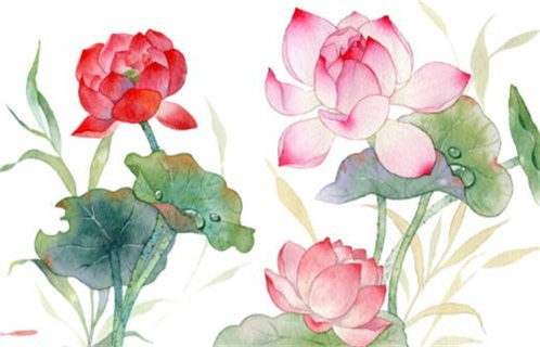 农历二〇二八年五月十九黄历动土不适宜吗,这天动土合适吗