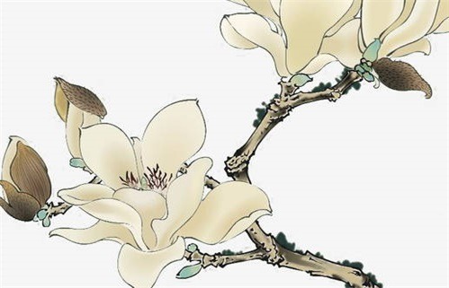 2026年04月23日动土黄历查询