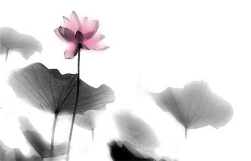 2028年02月04日动土黄历查询