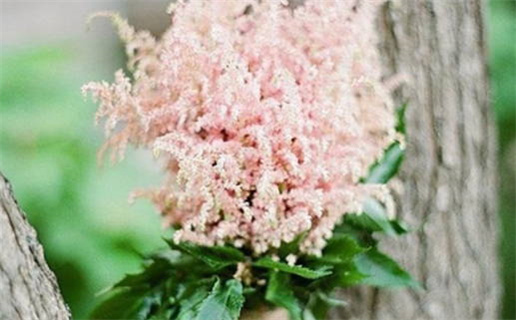 今天万年历2026年05月25日结婚吉日,结婚好日子查询