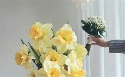 今日农历二〇二六年九月十九黄历举办婚礼不适宜吗,结婚吉日