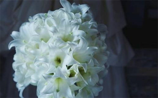 2026年10月19日领证黄历查询 2026年10月19日领证黄历查询