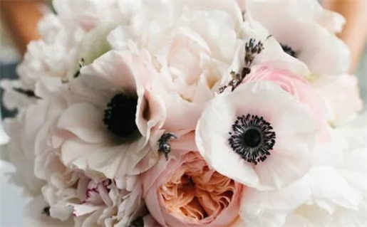 2028年07月23日不适合办理结婚证吗,这天领证合适吗