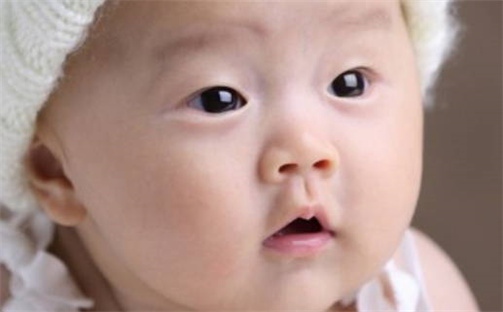 张姓男孩子取名