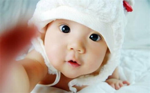 高姓精致典雅的男孩名字