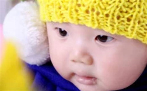 2026年07月05日农历二〇二六年五月廿一出生的高姓男宝宝取名全攻略