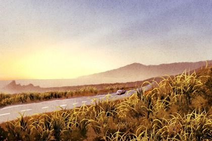 2026年12月24日提车黄历查询