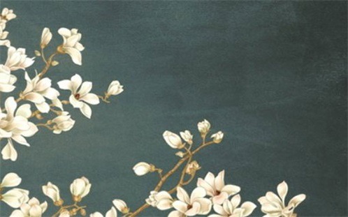 农历二〇二六年五月十五黄历家装不推荐吗,装修吉日查询